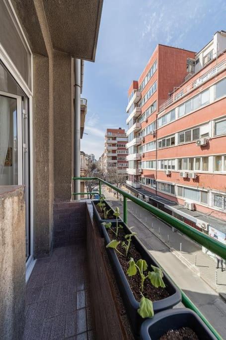 Bohohome Next To The Main Street Apartment Sofia